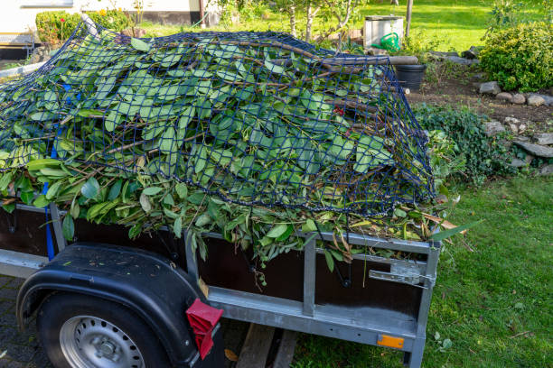 Best Mattress Disposal  in Shields, MI